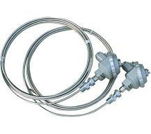 铠裝(zhuang)熱電(dian)偶