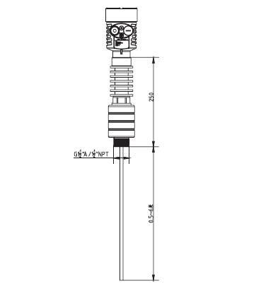 高(gao)溫導(dao)波雷(lei)達物(wu)位計(ji)外型(xing)尺寸(cun)圖