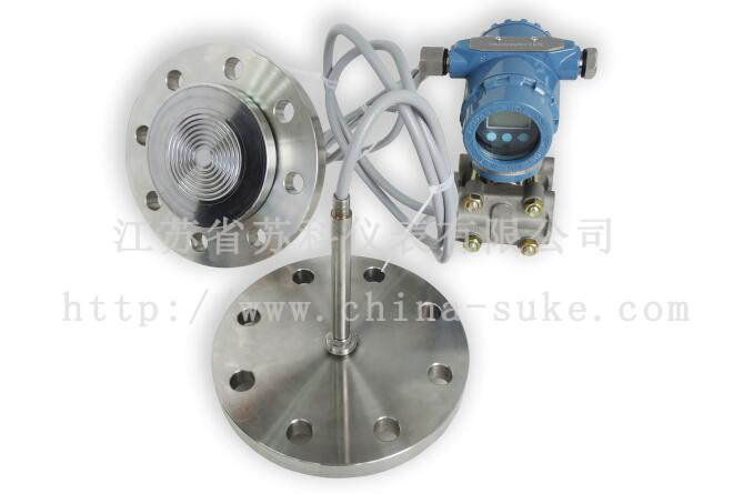 雙法蘭(lan)液位變(bian)送器産(chan)品圖