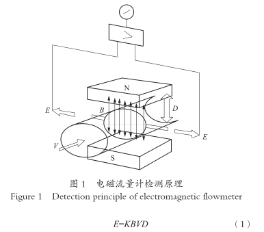 電磁流(liu)量計檢(jian)測原理(li)圖示