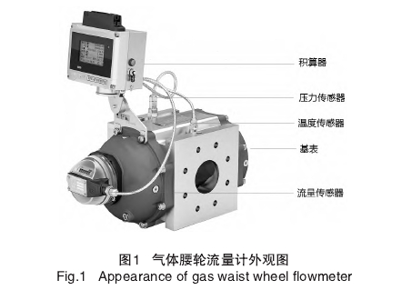 氣(qi)體腰輪(lun)流量計(ji)外觀圖(tu)