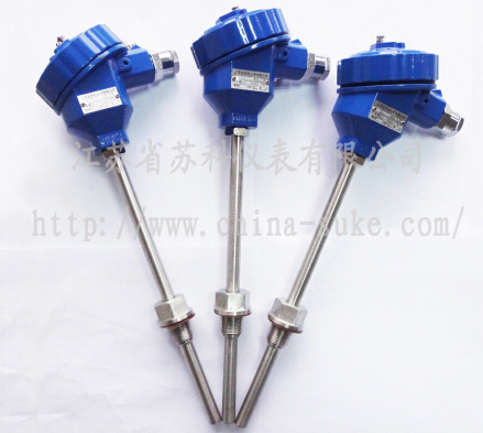 防爆型熱(re)電偶