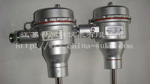 隔(ge)爆型(xing)熱電(dian)偶