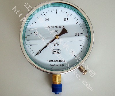電阻遠(yuan)傳耐震(zhen)壓力表(biao)