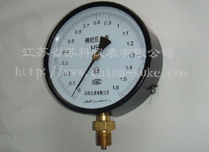 精(jing)密壓力(li)表